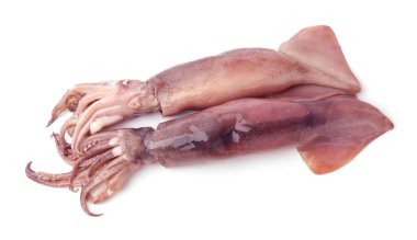 Fresh raw squids isolated on white, above view