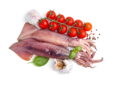 Fresh raw squids, tomatoes and spices isolated on white, top view