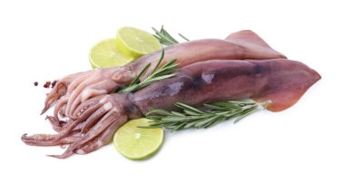 Fresh raw squids with rosemary, lime slices and spices isolated on white