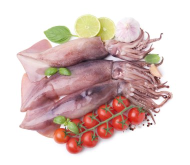 Fresh raw squids, tomatoes, lime slices and spices isolated on white, top view