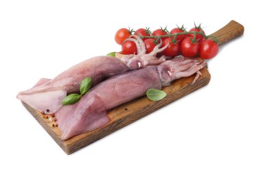 Fresh raw squids, tomatoes and spices isolated on white