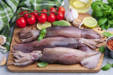 Fresh raw squids, tomatoes, lime and spices on grey table, closeup