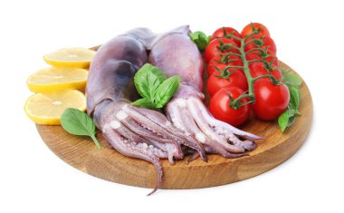 Raw squids, tomatoes, lemon slices and basil isolated on white