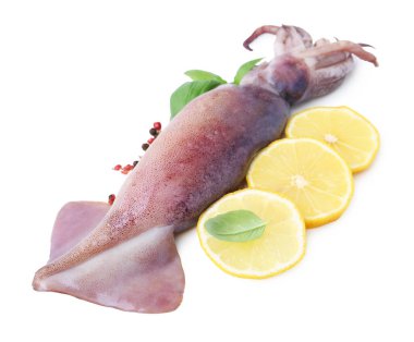 Raw squid, peppercorns, basil and lemon slices isolated on white