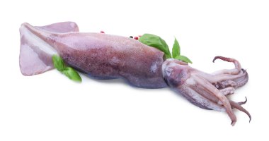 Raw squid, peppercorns and basil isolated on white