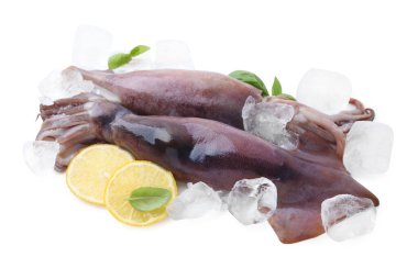 Raw squids, ice cubes, lemon slices and basil isolated on white