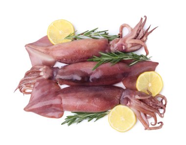 Raw squids, rosemary and lemon slices isolated on white, top view