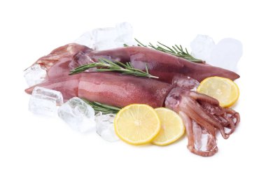 Raw squids, ice cubes, rosemary and lemon slices isolated on white