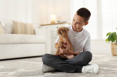 Evde şirin Griffon köpekli bir çocuk var. Evcil hayvan