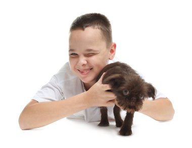 Beyaz arka planda şirin Griffon köpekli bir çocuk. Evcil hayvan