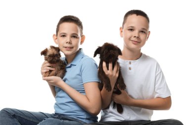 Beyaz arka planda sevimli Griffon yavruları olan çocuklar. Evcil hayvan