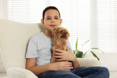 Evdeki koltukta şirin bir Griffon köpeği olan çocuk. Evcil hayvan