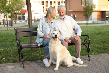 Dışarıda bankta sevimli Golden Retriever köpeği olan mutlu yaşlı çift.
