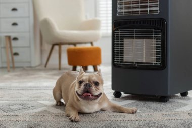 Evde elektrikli ısıtıcının yanında sevimli bir Fransız bulldog.