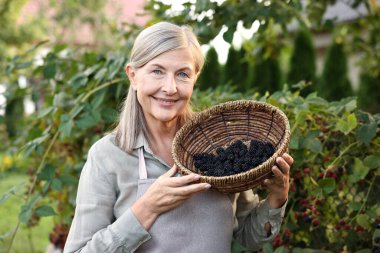 Yaşlı kadın bahçesinde olgun böğürtlenlerle hasır kasesi tutuyor.