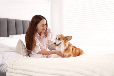 Evcil hayvan dostu otel. Güzel Galli Corgi köpeği olan bir kadın. Kapalı bir odada, mesaj atmak için yer var.