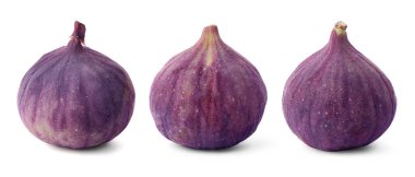 Taze incirler beyazda izole edilmiş. Tatlı meyve