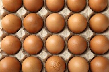 Raw chicken eggs in egg carton as background, top view