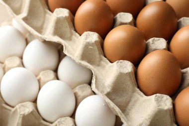 Different raw chicken eggs in egg cartons, closeup