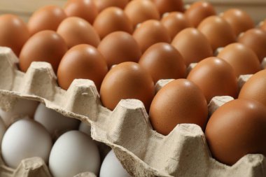 Different raw chicken eggs in egg cartons, closeup
