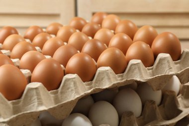 Different raw chicken eggs in egg cartons, closeup