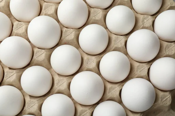 Yumurta kartonunda çiğ tavuk yumurtası, üst manzara.