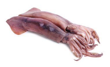 Fresh raw squids isolated on white. Seafood