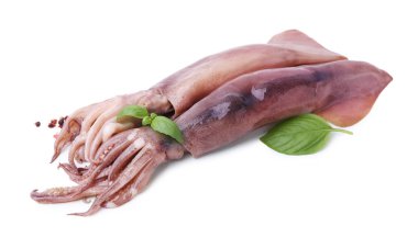 Fesleğenli taze çiğ mürekkep balıkları ve beyaz üzerine izole edilmiş baharatlar.