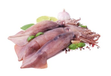 Fresh raw squids with lime and spices isolated on white