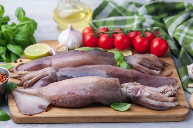 Fresh raw squids, tomatoes, lime and spices on grey table, closeup