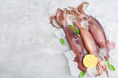 Fresh raw squids with ice, basil and lemon on grey table, top view. Space for text