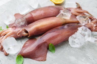 Gri masada buzlu ve fesleğenli taze çiğ mürekkep balıkları, yakın plan.