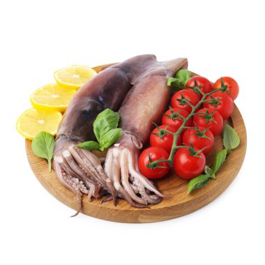 Raw squids, tomatoes, lemon slices and basil isolated on white