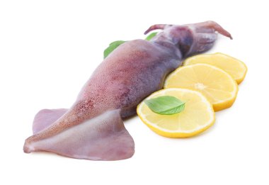 Çiğ kalamar, fesleğen ve limon dilimleri beyaza izole edilmiş.