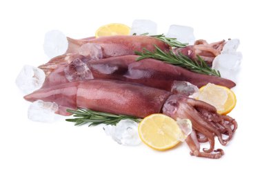 Raw squids, ice cubes, rosemary and lemon slices isolated on white