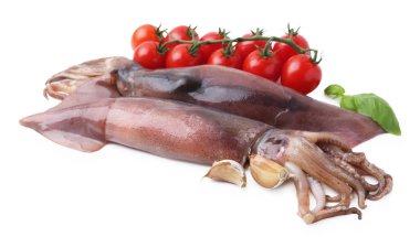 Raw squids, tomatoes, basil and garlic isolated on white
