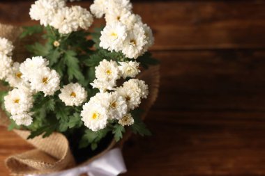 Güzel beyaz kasımpatı çiçekleri ahşap masada, manzaranın üstünde. Metin için boşluk