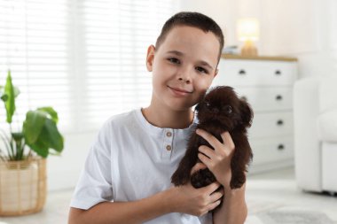 Evde şirin Griffon köpekli bir çocuk var. Evcil hayvan