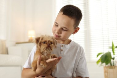 Evde şirin Griffon köpekli bir çocuk var. Evcil hayvan