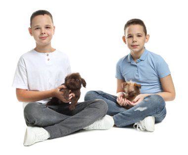 Beyaz arka planda sevimli Griffon yavruları olan çocuklar. Evcil hayvan