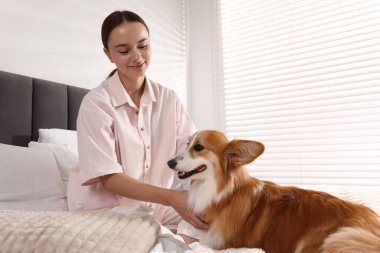 Evcil hayvan dostu otel. Yatağında tatlı Galli Corgi köpeği olan bir kadın.