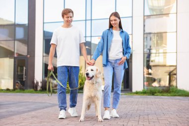 Şehir caddesinde sevimli Golden Retriever köpekleri olan bir çift