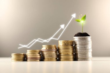 Zenginlik kavramı. Bej rengi gri arka planda birikmiş bozuk paralar ve fidanlar