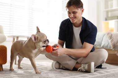 Adam evde sevimli Fransız bulldoguyla oynuyor.