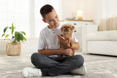 Evde şirin Griffon köpekli bir çocuk var. Evcil hayvan