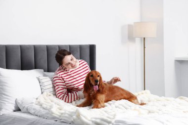 Evcil hayvan dostu otel. Kadın ve sevimli köpeği yatağın içinde