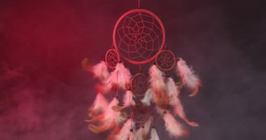 Güzel düş kapanı ve duman koyu arkaplanda renk ışığıyla akıyor.