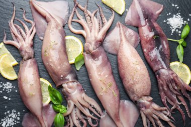 Raw squids, lemon and basil on black table, top view