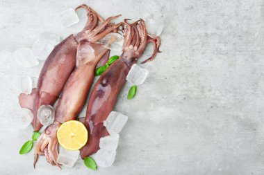 Fresh raw squids with ice, basil and lemon on grey table, top view. Space for text