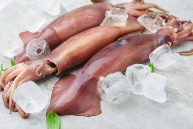 Gri masada buzlu ve fesleğenli taze çiğ mürekkep balıkları, yakın plan.